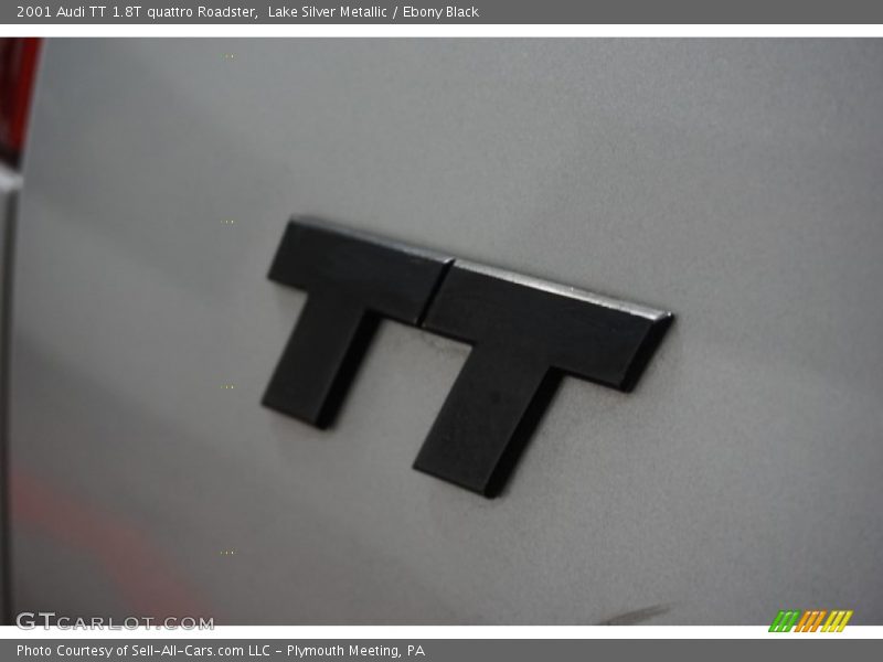 Lake Silver Metallic / Ebony Black 2001 Audi TT 1.8T quattro Roadster