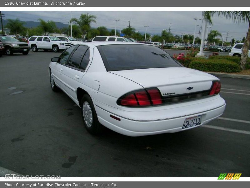 Bright White / Gray 1996 Chevrolet Lumina