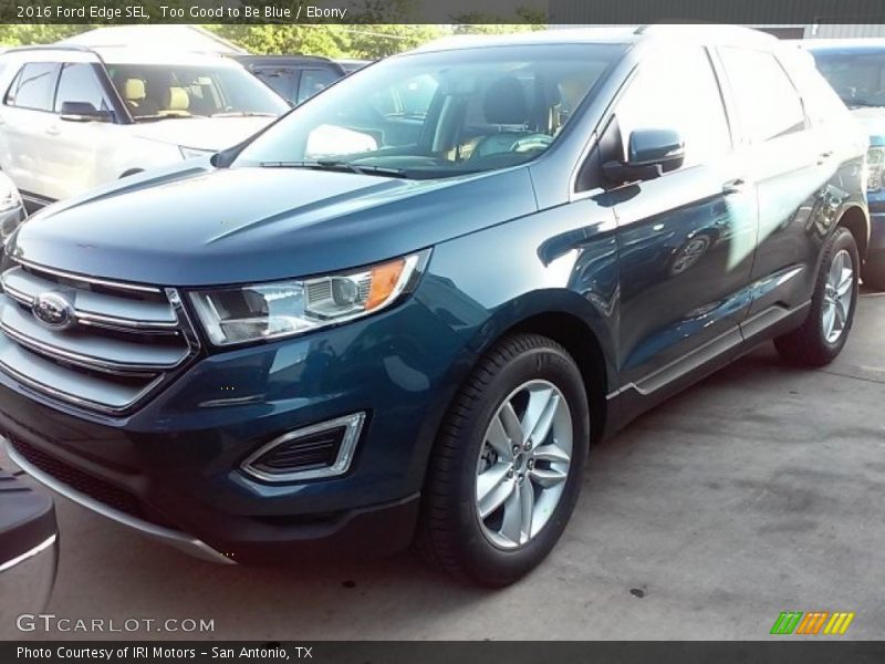 Too Good to Be Blue / Ebony 2016 Ford Edge SEL