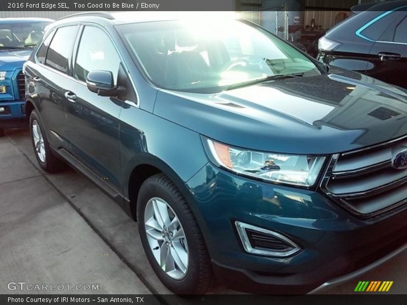 Too Good to Be Blue / Ebony 2016 Ford Edge SEL