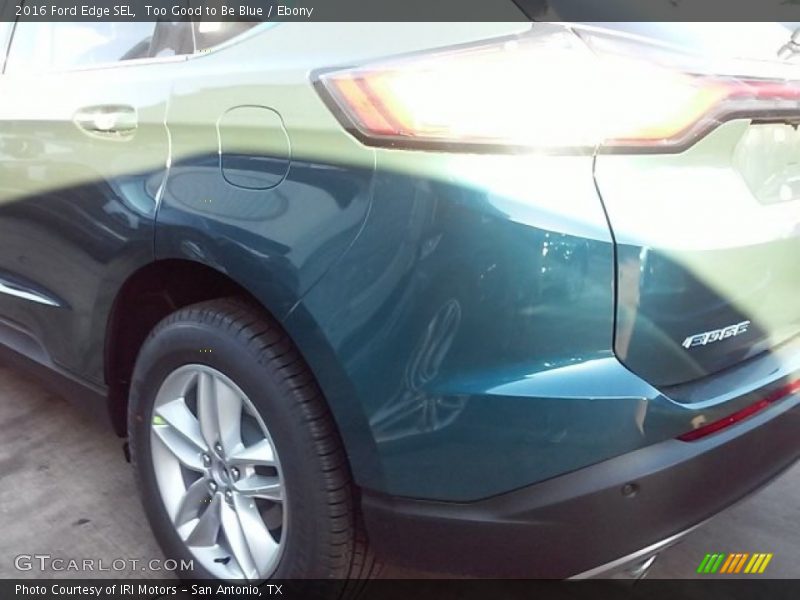 Too Good to Be Blue / Ebony 2016 Ford Edge SEL