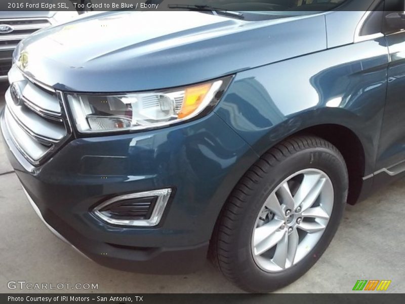 Too Good to Be Blue / Ebony 2016 Ford Edge SEL