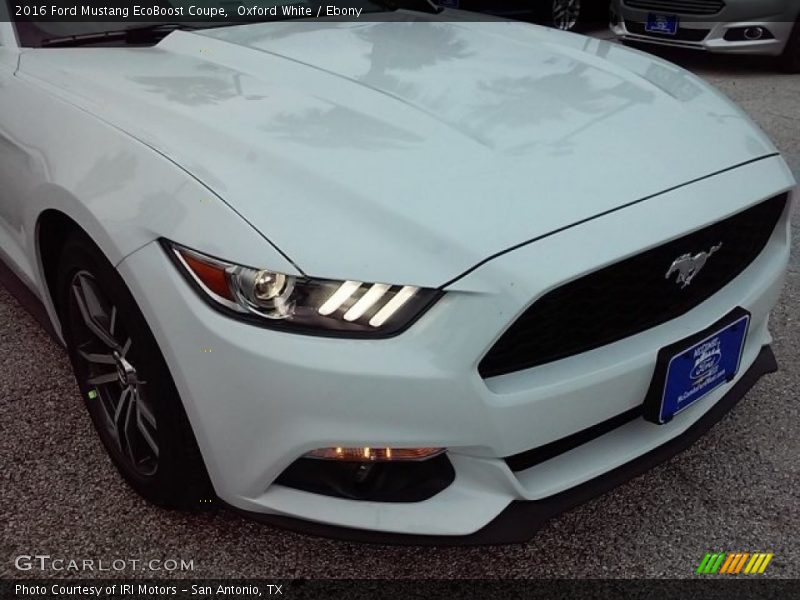 Oxford White / Ebony 2016 Ford Mustang EcoBoost Coupe