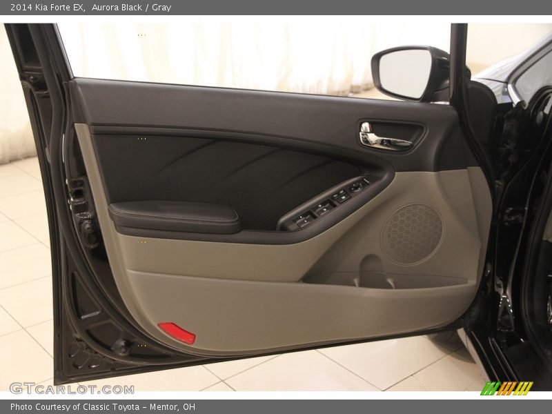 Aurora Black / Gray 2014 Kia Forte EX
