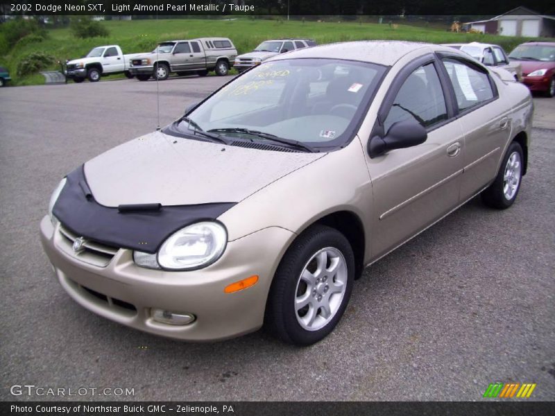 Light Almond Pearl Metallic / Taupe 2002 Dodge Neon SXT