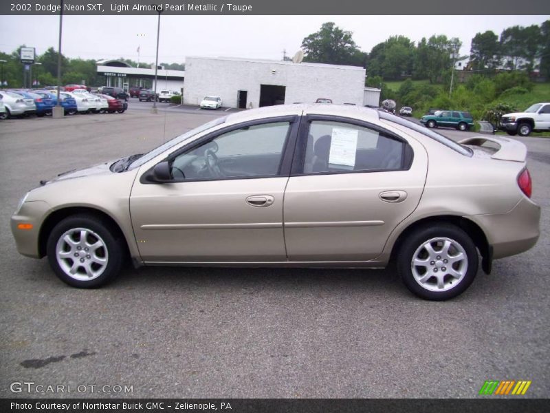 Light Almond Pearl Metallic / Taupe 2002 Dodge Neon SXT
