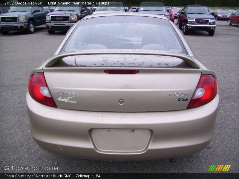 Light Almond Pearl Metallic / Taupe 2002 Dodge Neon SXT