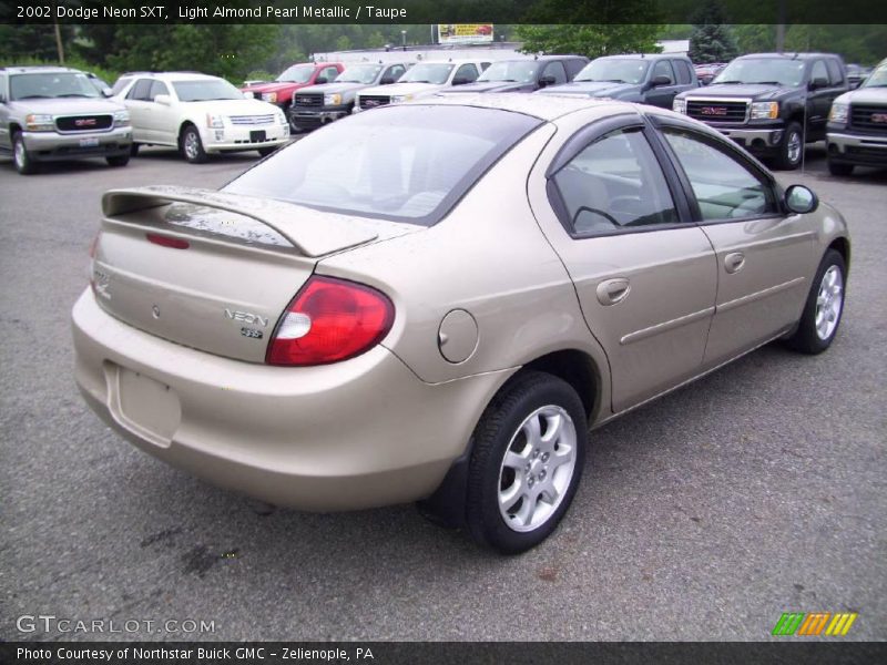 Light Almond Pearl Metallic / Taupe 2002 Dodge Neon SXT