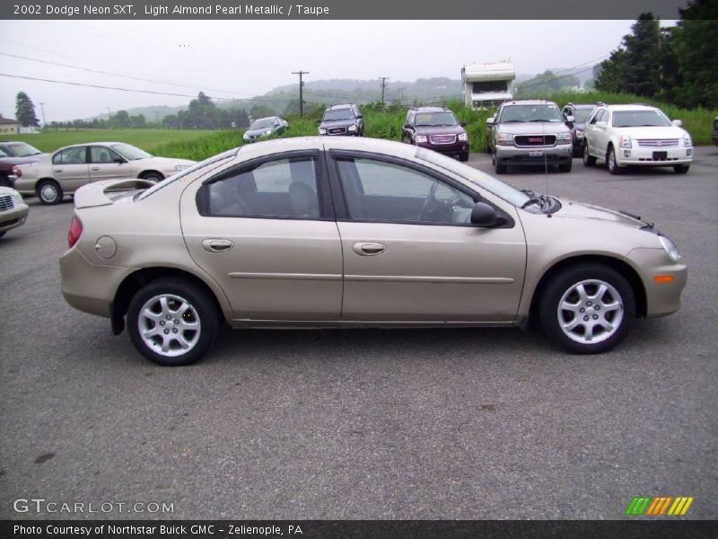 Light Almond Pearl Metallic / Taupe 2002 Dodge Neon SXT