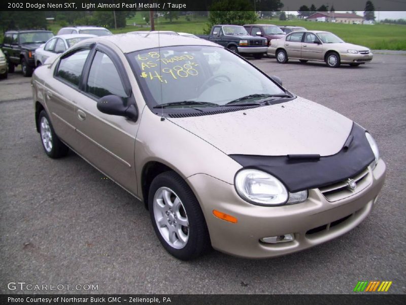 Light Almond Pearl Metallic / Taupe 2002 Dodge Neon SXT