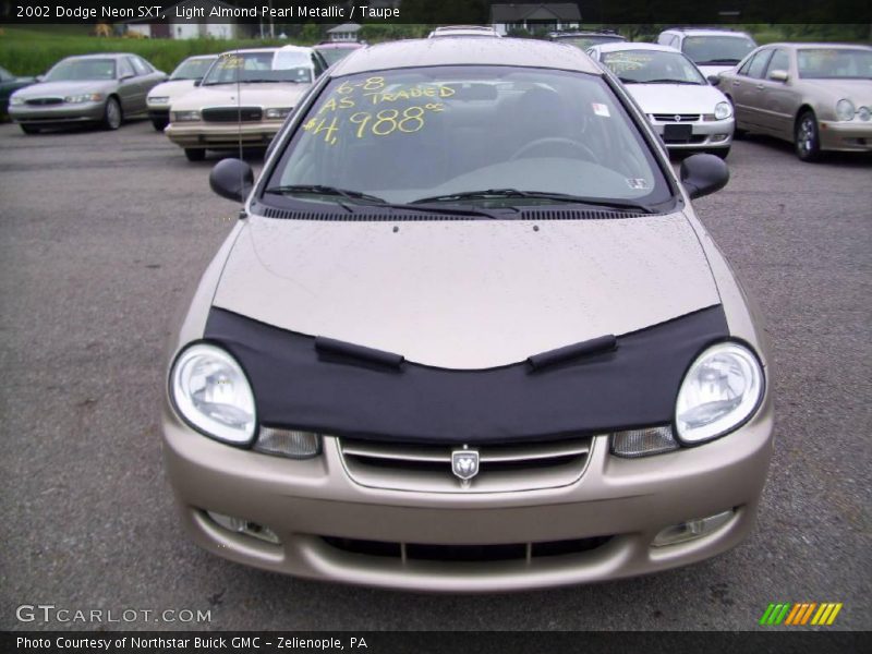 Light Almond Pearl Metallic / Taupe 2002 Dodge Neon SXT