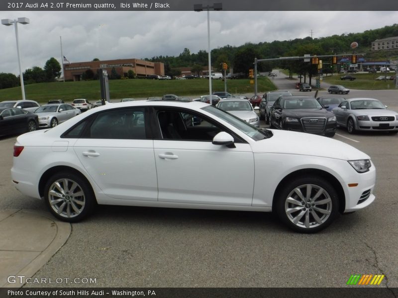 Ibis White / Black 2017 Audi A4 2.0T Premium quattro