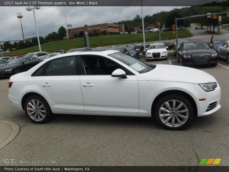 Ibis White / Black 2017 Audi A4 2.0T Premium quattro