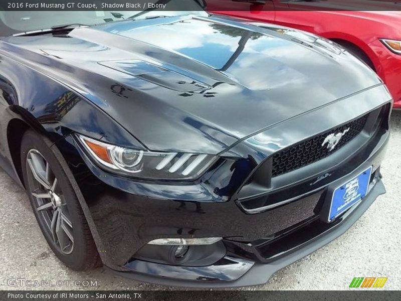 Shadow Black / Ebony 2016 Ford Mustang GT Coupe