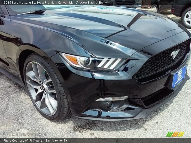 Shadow Black / Ebony 2016 Ford Mustang EcoBoost Premium Convertible