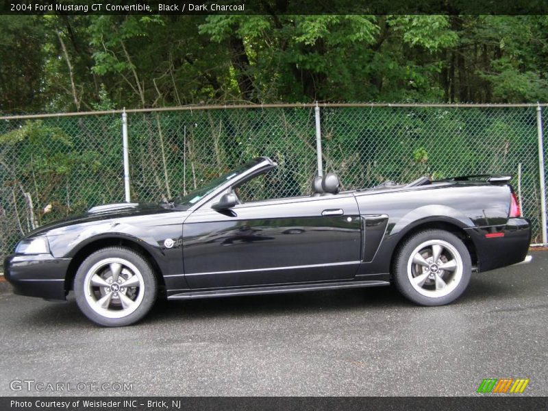 Black / Dark Charcoal 2004 Ford Mustang GT Convertible
