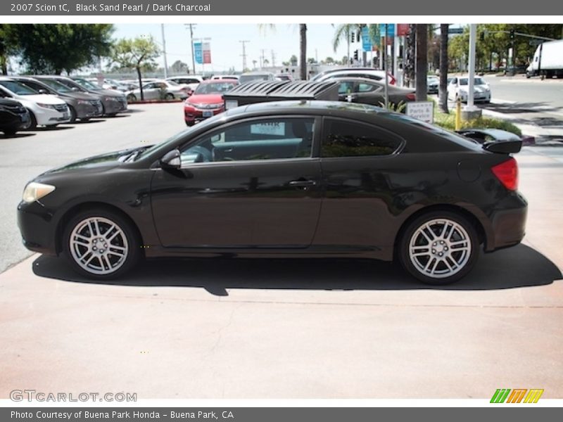 Black Sand Pearl / Dark Charcoal 2007 Scion tC