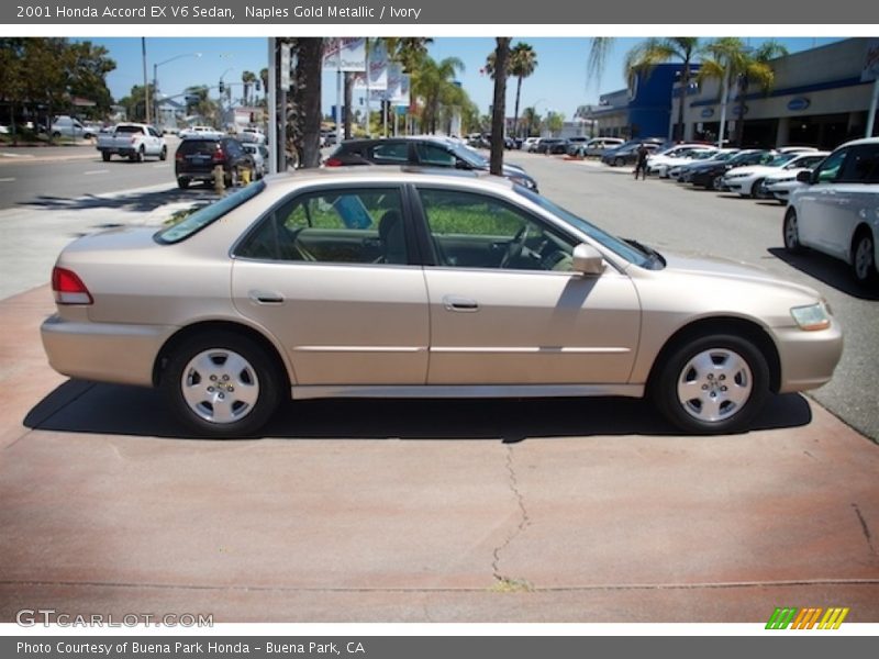 Naples Gold Metallic / Ivory 2001 Honda Accord EX V6 Sedan