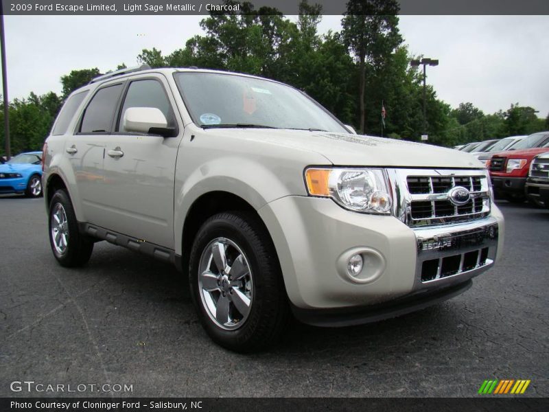 Light Sage Metallic / Charcoal 2009 Ford Escape Limited