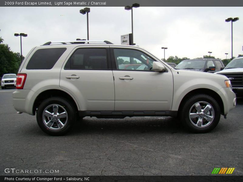 Light Sage Metallic / Charcoal 2009 Ford Escape Limited
