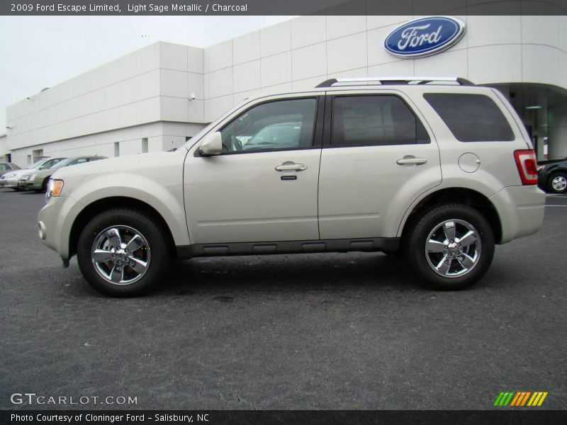 Light Sage Metallic / Charcoal 2009 Ford Escape Limited