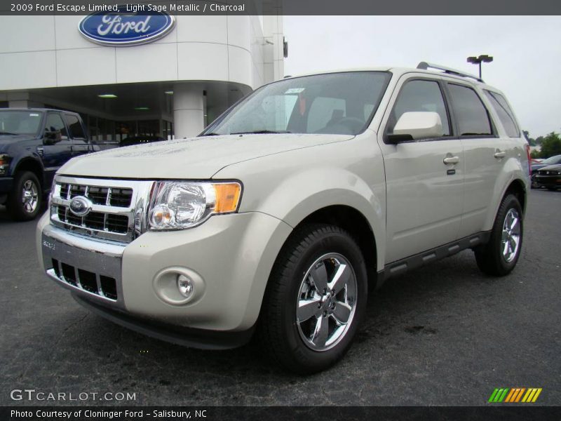 Light Sage Metallic / Charcoal 2009 Ford Escape Limited