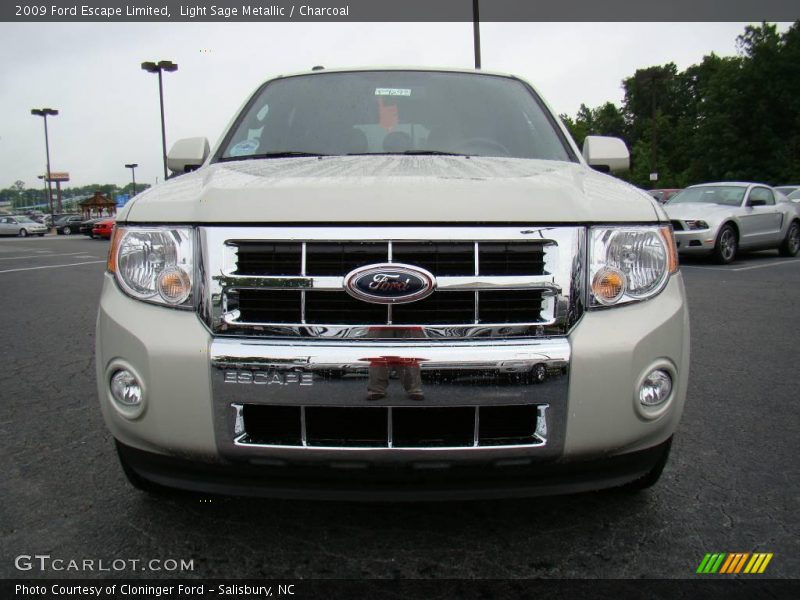 Light Sage Metallic / Charcoal 2009 Ford Escape Limited