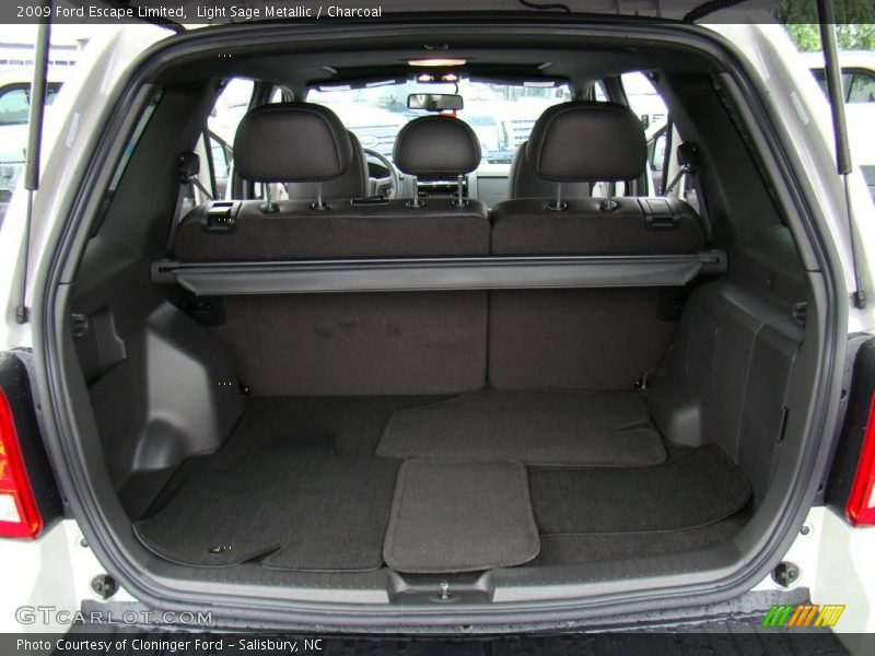 Light Sage Metallic / Charcoal 2009 Ford Escape Limited