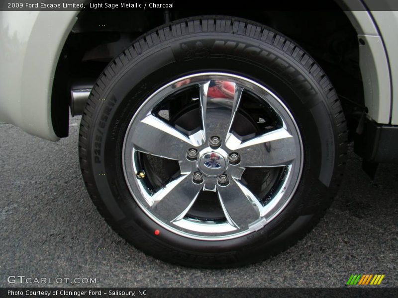 Light Sage Metallic / Charcoal 2009 Ford Escape Limited