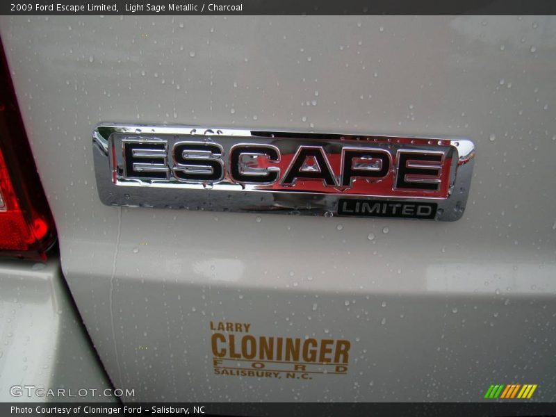 Light Sage Metallic / Charcoal 2009 Ford Escape Limited