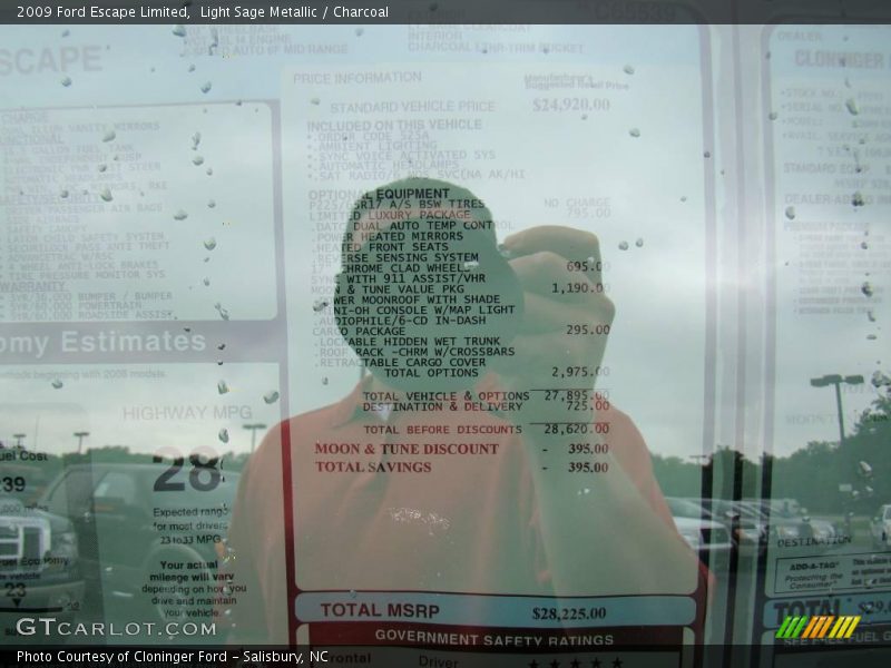 Light Sage Metallic / Charcoal 2009 Ford Escape Limited