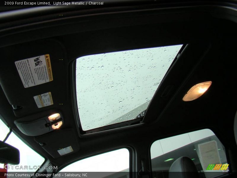 Light Sage Metallic / Charcoal 2009 Ford Escape Limited