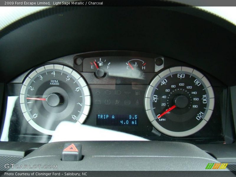 Light Sage Metallic / Charcoal 2009 Ford Escape Limited