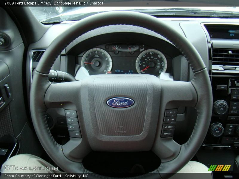 Light Sage Metallic / Charcoal 2009 Ford Escape Limited