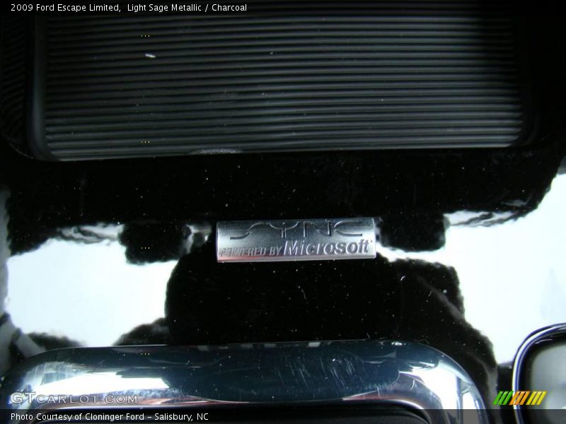 Light Sage Metallic / Charcoal 2009 Ford Escape Limited