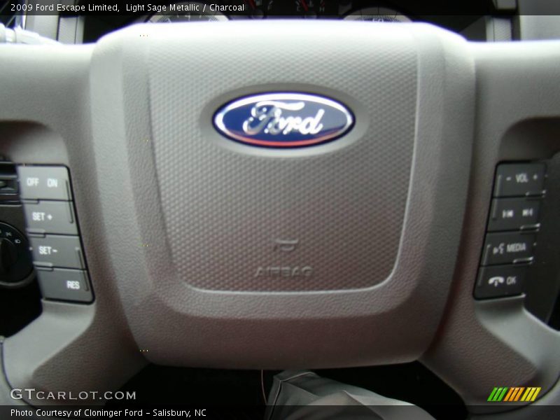 Light Sage Metallic / Charcoal 2009 Ford Escape Limited