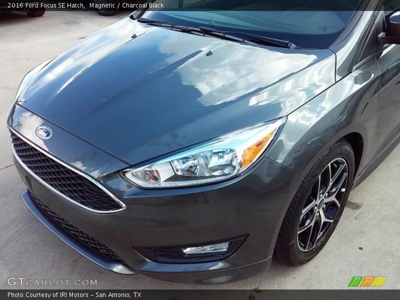 Magnetic / Charcoal Black 2016 Ford Focus SE Hatch