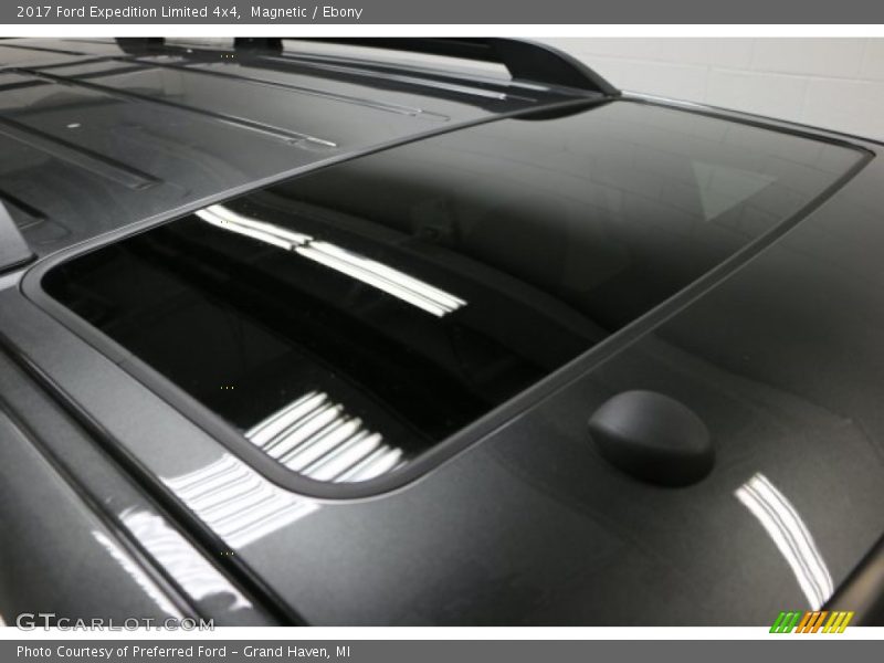 Magnetic / Ebony 2017 Ford Expedition Limited 4x4