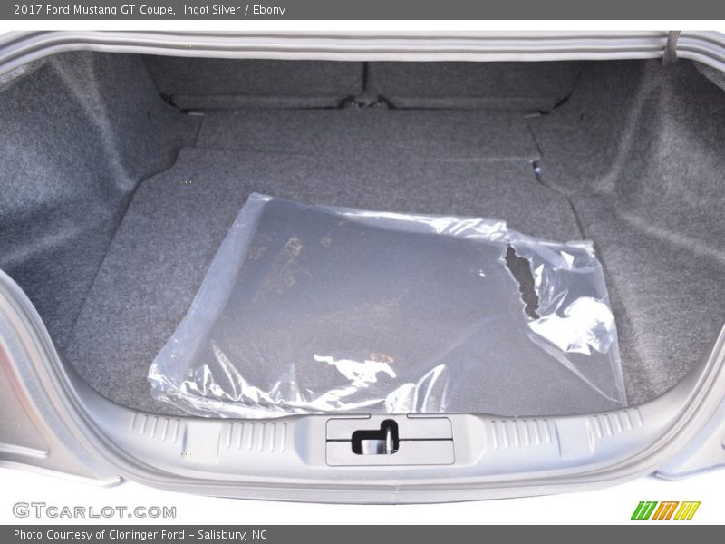 Ingot Silver / Ebony 2017 Ford Mustang GT Coupe