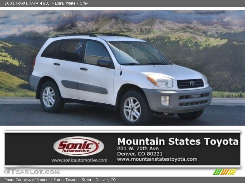 Natural White / Gray 2001 Toyota RAV4 4WD