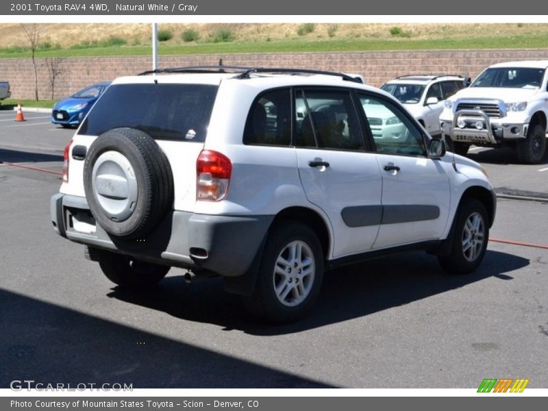 Natural White / Gray 2001 Toyota RAV4 4WD