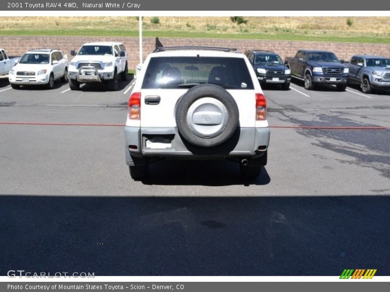 Natural White / Gray 2001 Toyota RAV4 4WD