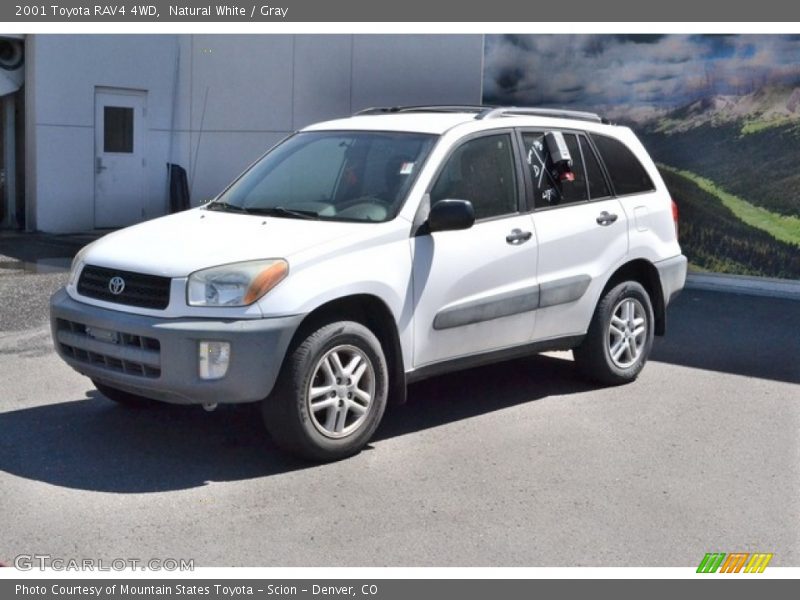 Natural White / Gray 2001 Toyota RAV4 4WD