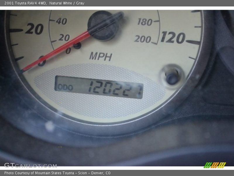 Natural White / Gray 2001 Toyota RAV4 4WD