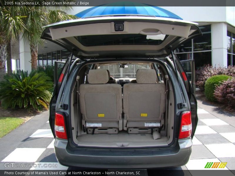 Sage Green Metallic / Beige 2005 Kia Sedona LX
