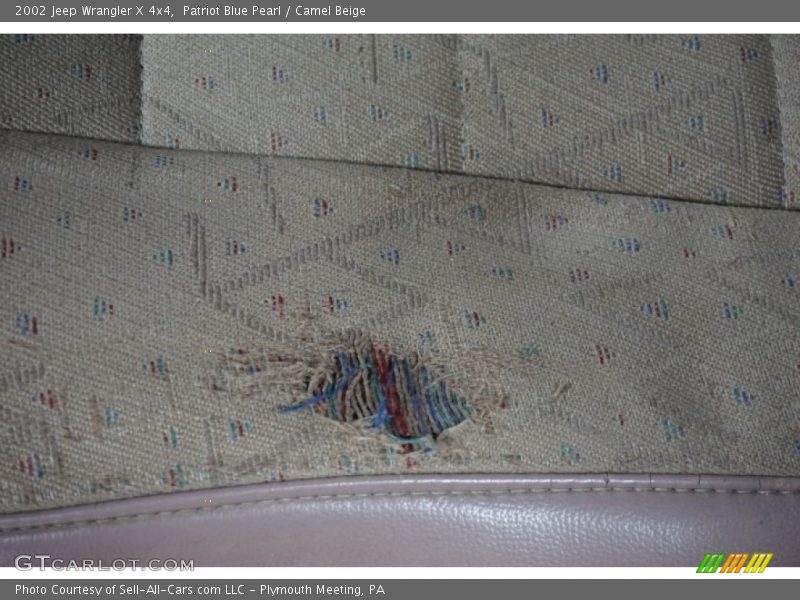 Patriot Blue Pearl / Camel Beige 2002 Jeep Wrangler X 4x4