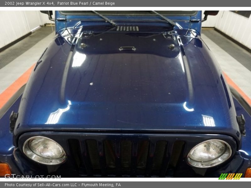 Patriot Blue Pearl / Camel Beige 2002 Jeep Wrangler X 4x4