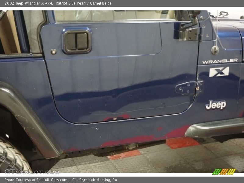 Patriot Blue Pearl / Camel Beige 2002 Jeep Wrangler X 4x4