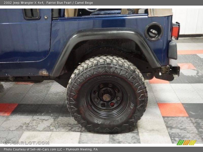 Patriot Blue Pearl / Camel Beige 2002 Jeep Wrangler X 4x4
