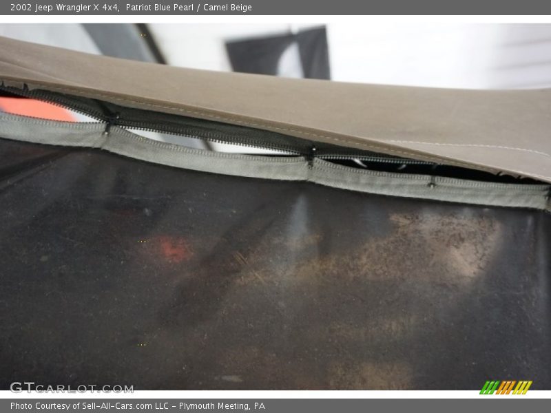 Patriot Blue Pearl / Camel Beige 2002 Jeep Wrangler X 4x4